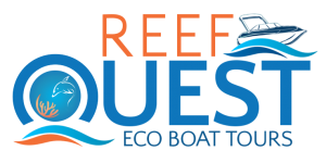 reef tours