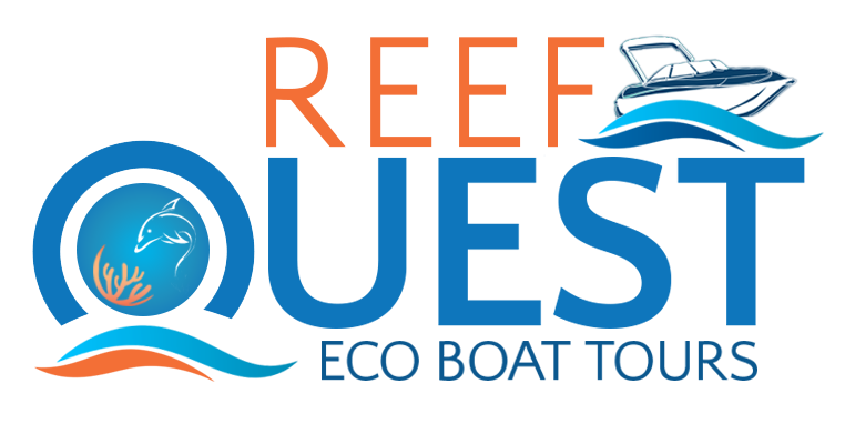Reef Quest Boat Tours